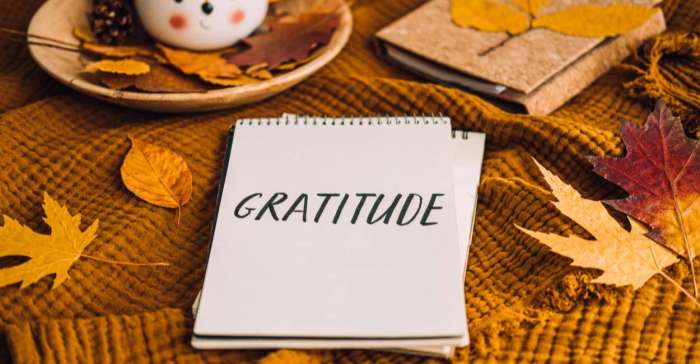 8 Ways to Cultivate Gratitude Through Meditation